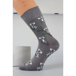 Coolfusky.cz | Vtipné barevné ponožky koala 1 pár