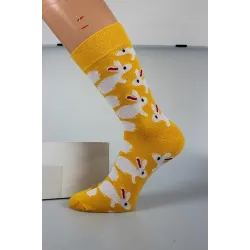 Coolfusky.cz | Originální barevné ponožky Woodoo velikonoce I
