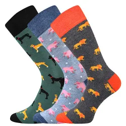 Coolfusky.cz | Vtipné barevné ponožky psi, prasátka, lvi