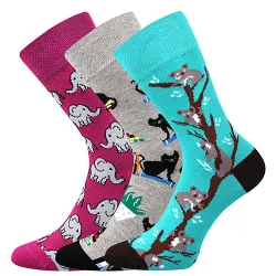 Coolfusky.cz | Vtipné barevné ponožky  sloni, kočky, koaly